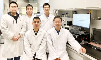 納米材料工程突破　為新一代智能電子裝置奠基